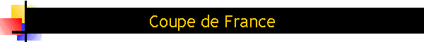 Coupe de France